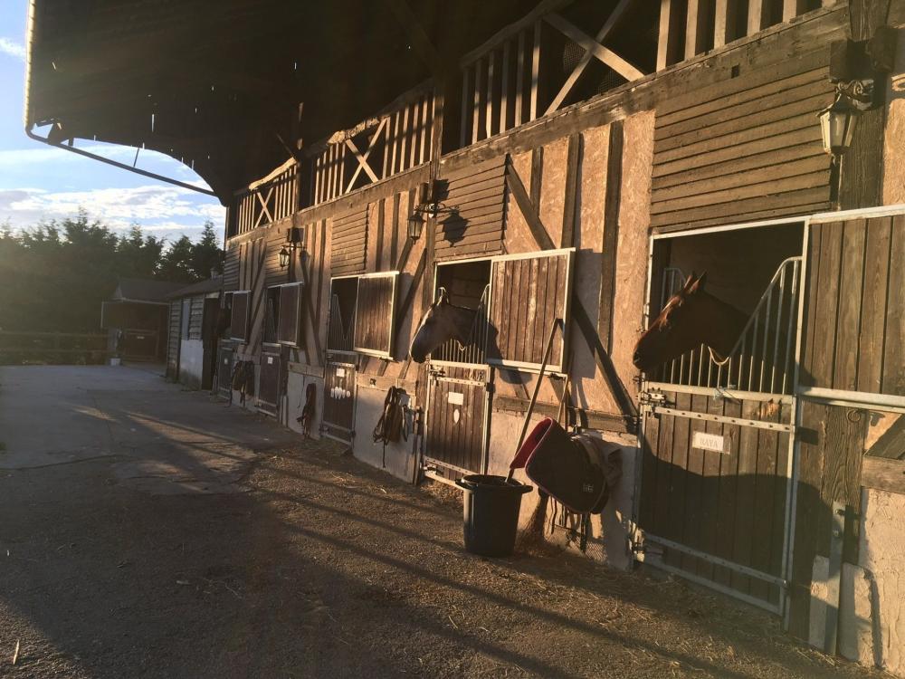 Banniere contact Banniere contact