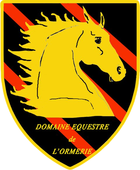 Logo DDO