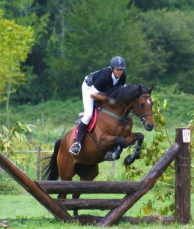 Centre équestre banniere Centre équestre banniere